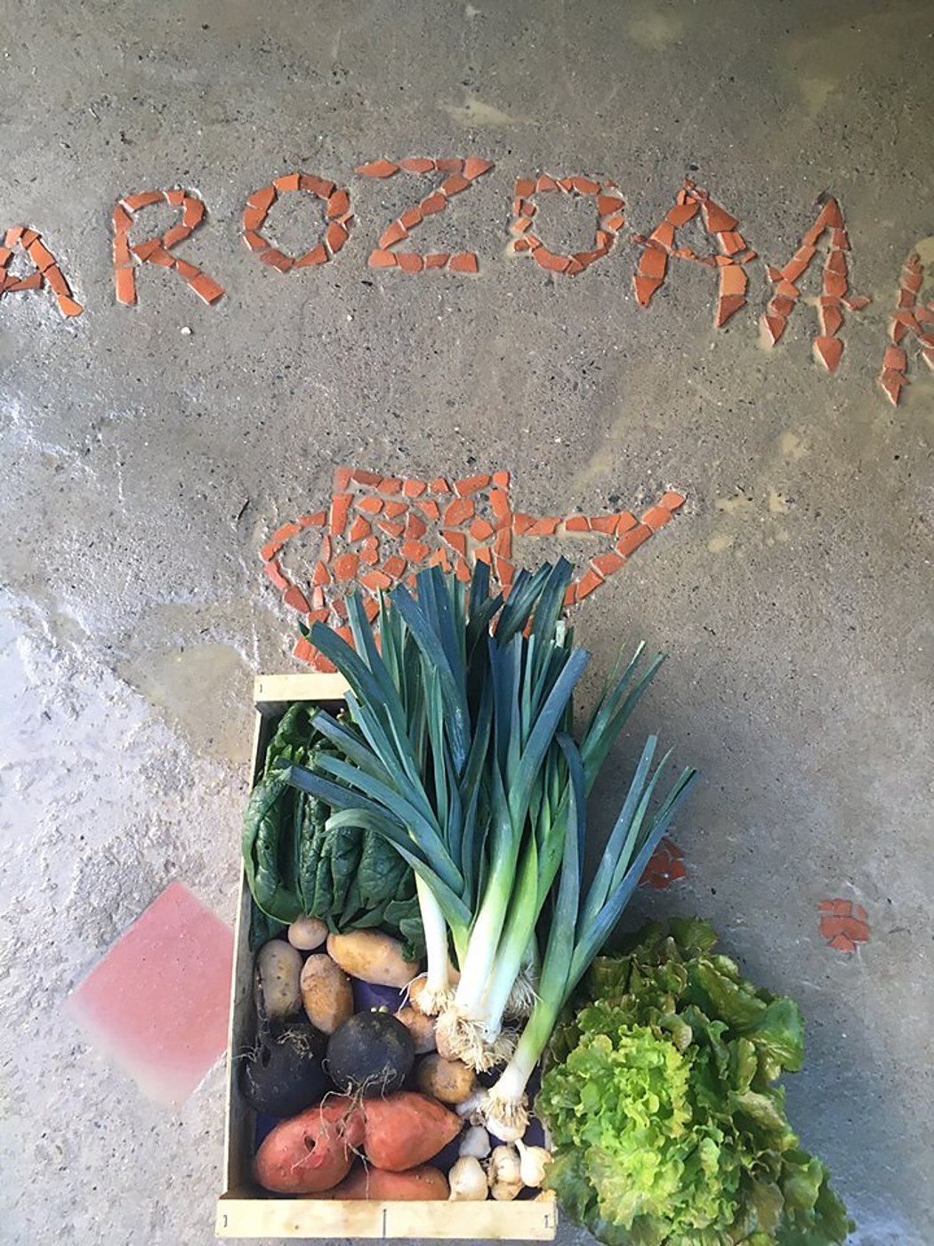 Une caisse en bois remplie de poireaux, pommes de terre, radis noirs, patates douces et salade, posée sur un sol en béton orné d'une mosaïque de morceaux de terre cuite.