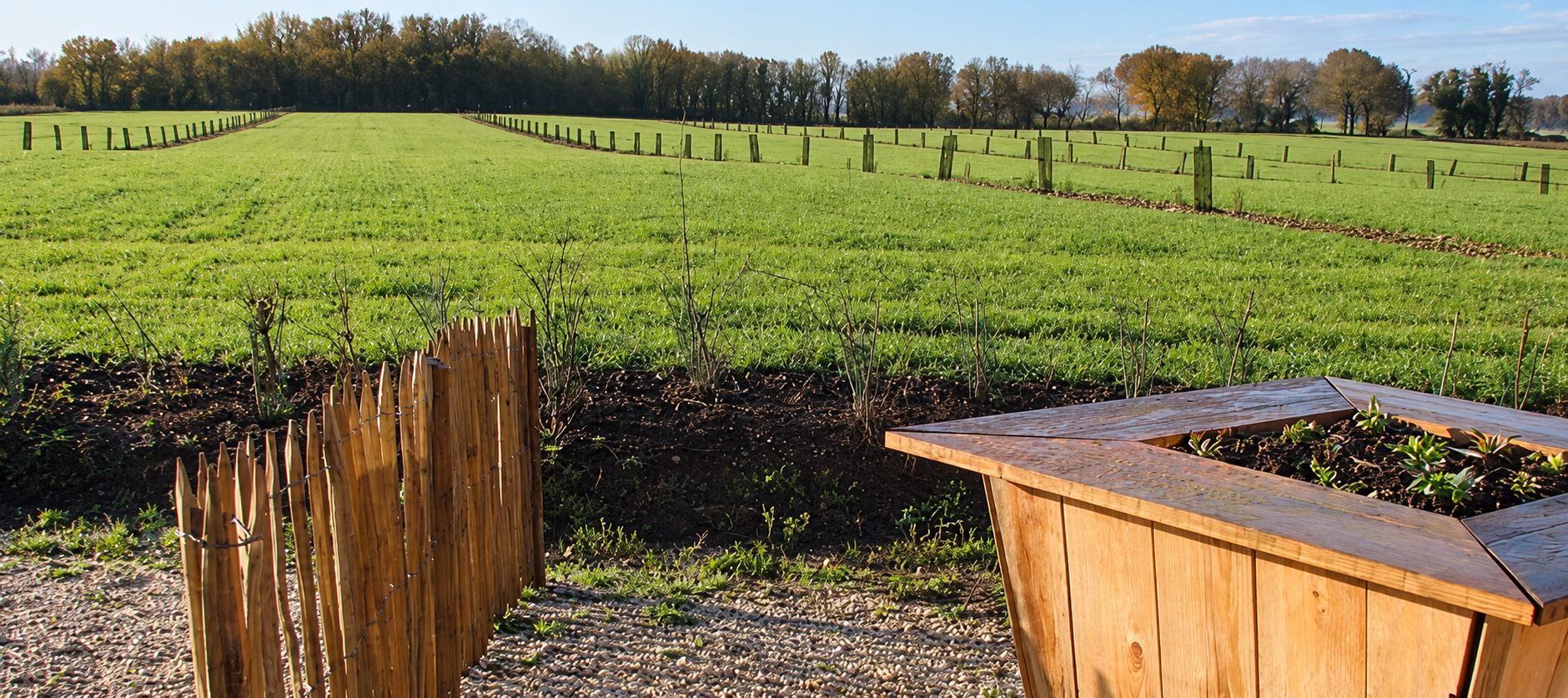 Vaste champ vert planté de rangées de jeunes arbres, avec au premier plan une clôture en châtaignier et une jardinière en bois.